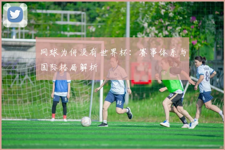 网球为何没有世界杯：赛事体系与国际格局解析